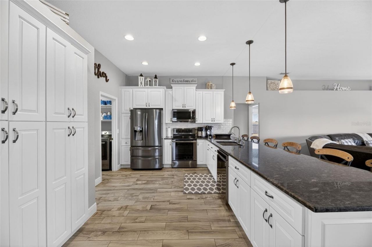 4409 Windmill Pointe Drive, Plant City, FL 33567 Photo