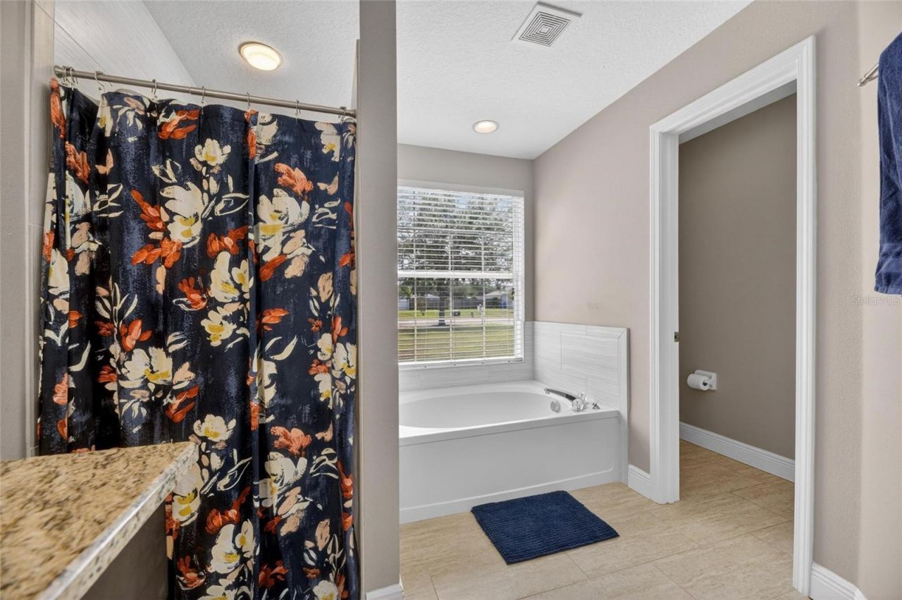 4409 Windmill Pointe Drive, Plant City, FL 33567 Photo
