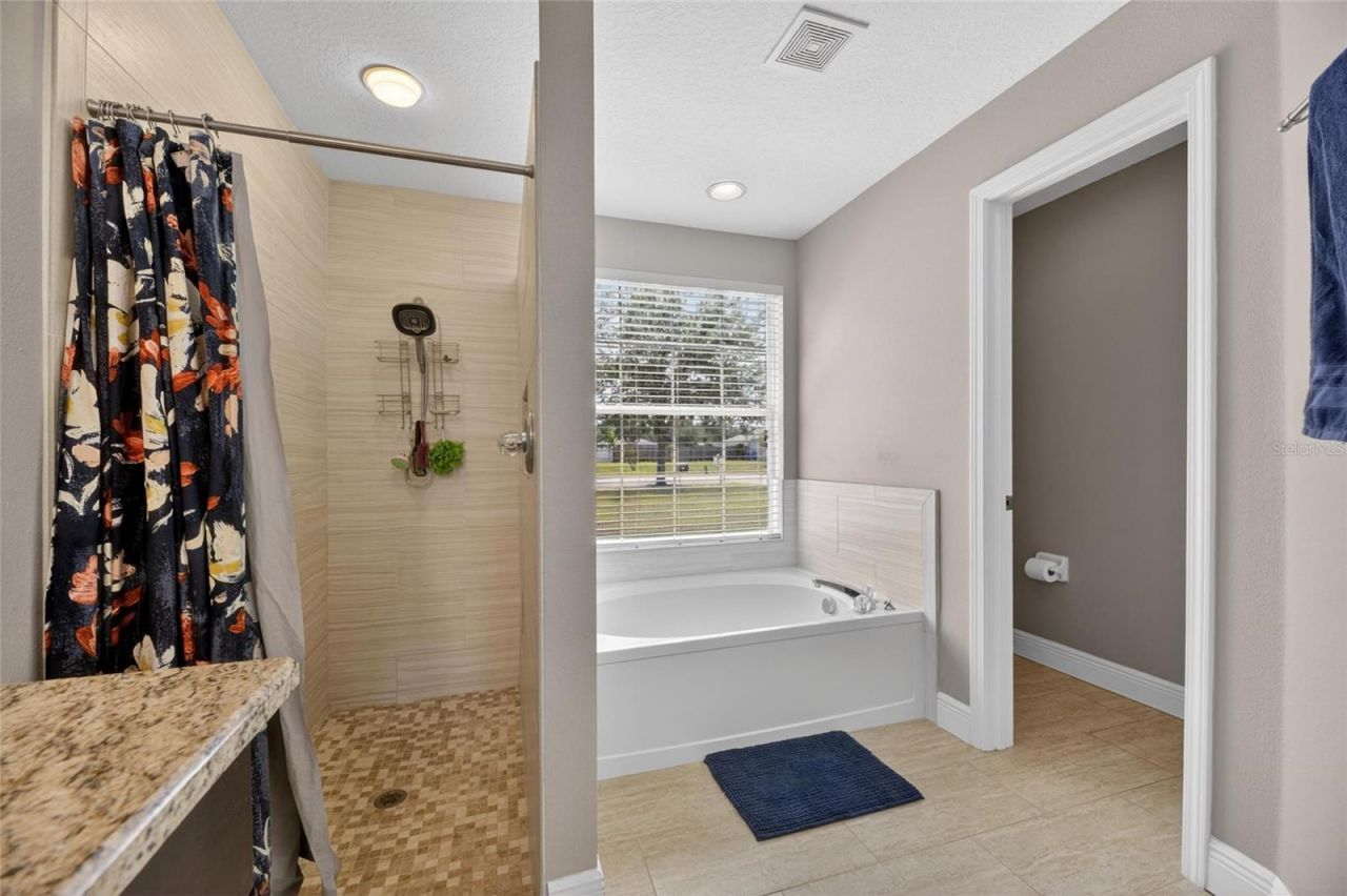 4409 Windmill Pointe Drive, Plant City, FL 33567 Photo