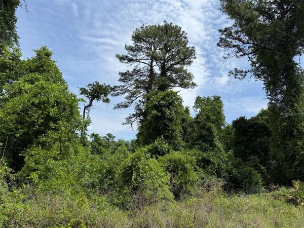 000 FOLKLORE DR , SATSUMA, FL 32189