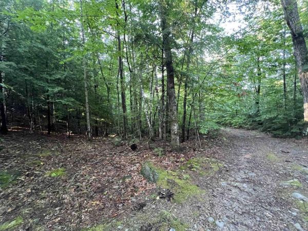 Map 6, Lot 38 Chadwick Hill Road, Webster, NH 03303
