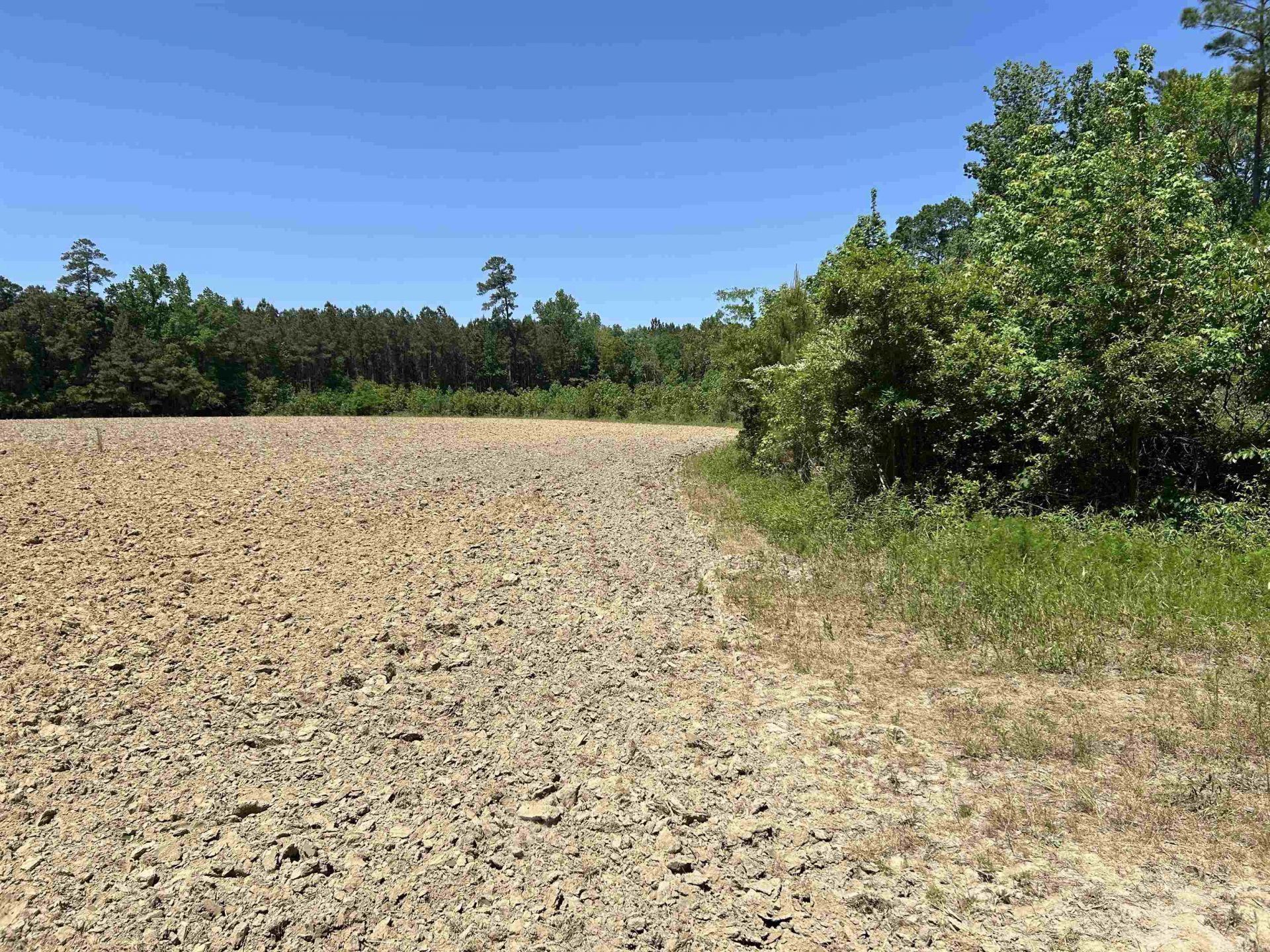 Tbd Pleasant Hill Dr.  Photo 5