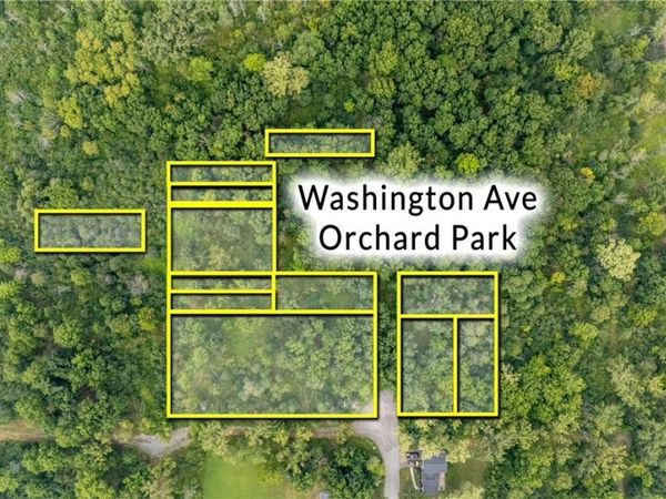 Washington Avenue, Orchard Park, NY 14127