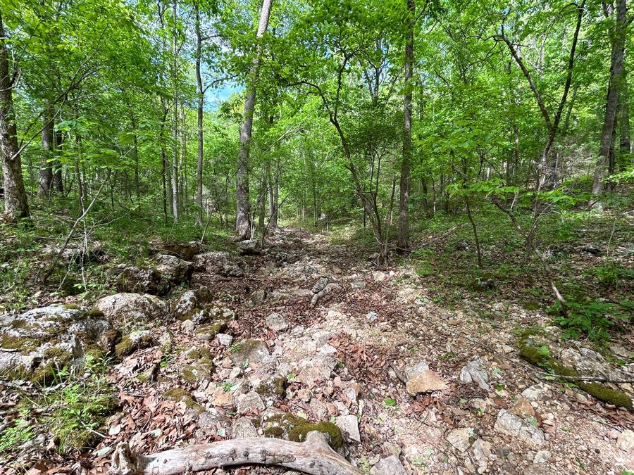 Property Image 21