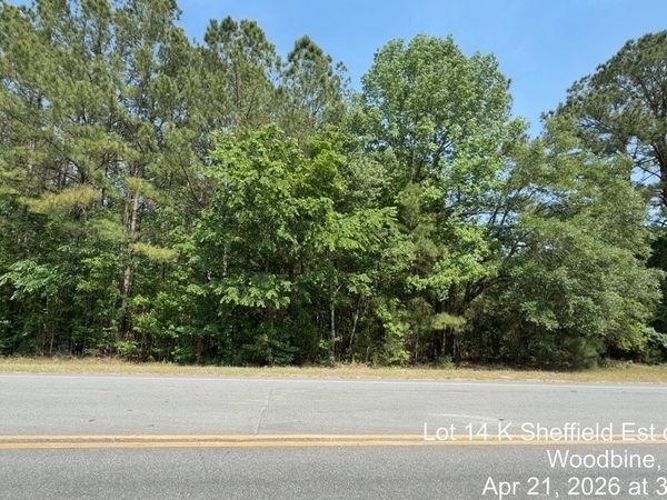 LOT 14 K Sheffield Est on Hwy 17, Woodbine, GA 31569