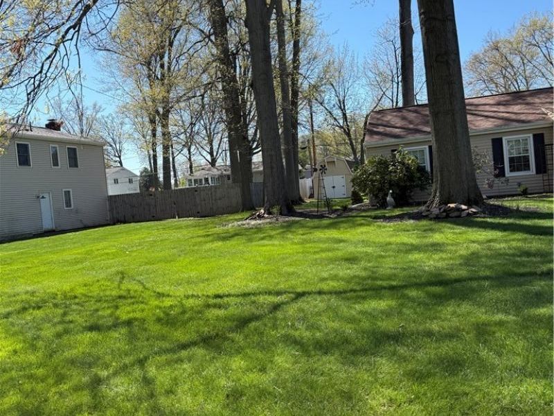 254 Vinewood Drive , Avon Lake, OH 44012 Photo 2