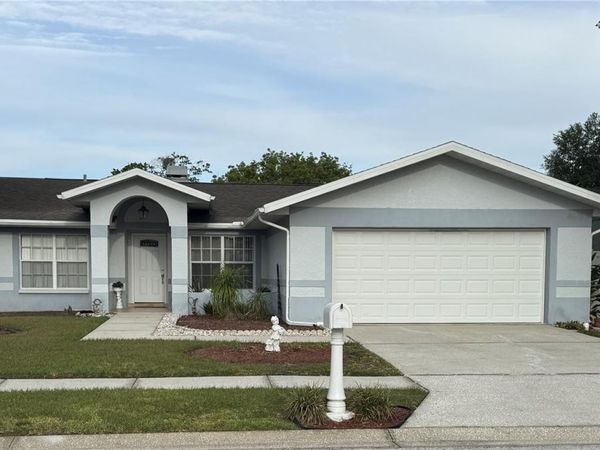 1915 CHENEY COURT , LUTZ, FL 33549