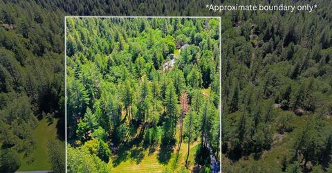 4080 Timber Ln, Placerville, CA 95667 Photo