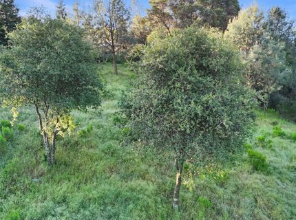 22827 Industrial Pl, Grass Valley, CA 95949 Photo