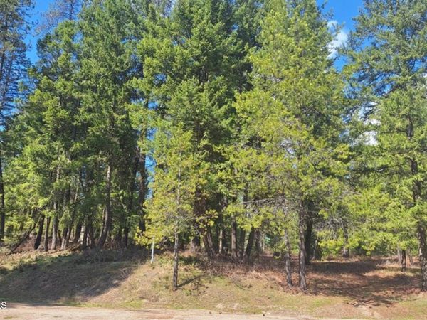 NNA Parkland Dr, Blanchard, ID 83804