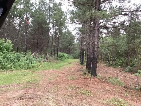 1935 Hwy 24 , Prescott, AR 71857