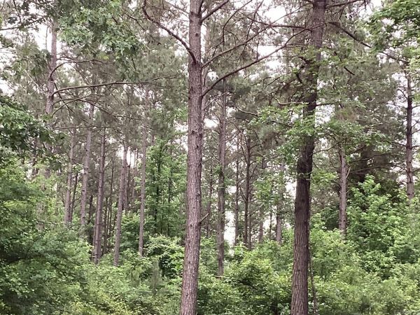 00 Hwy 24 , Prescott, AR 71857