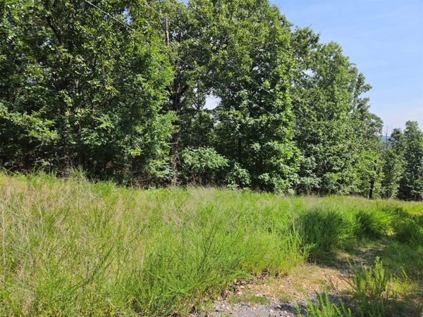 W Horseshoe Drive, Cookson, OK 74451