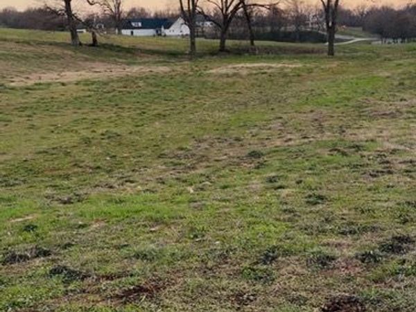TBD W BUCK Avenue , Tontitown, AR 72762