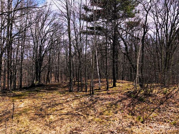 TBD 100 Street NW, Laporte, MN 56461