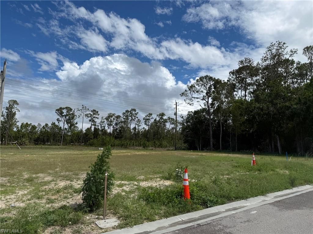 306 Riviera Tulum Ave , Naples, FL 34110 Photo