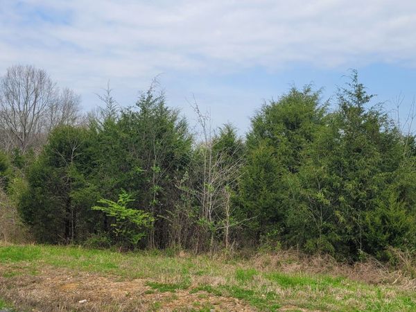 1 Whiteside Hill Rd , Shelbyville, TN 37160