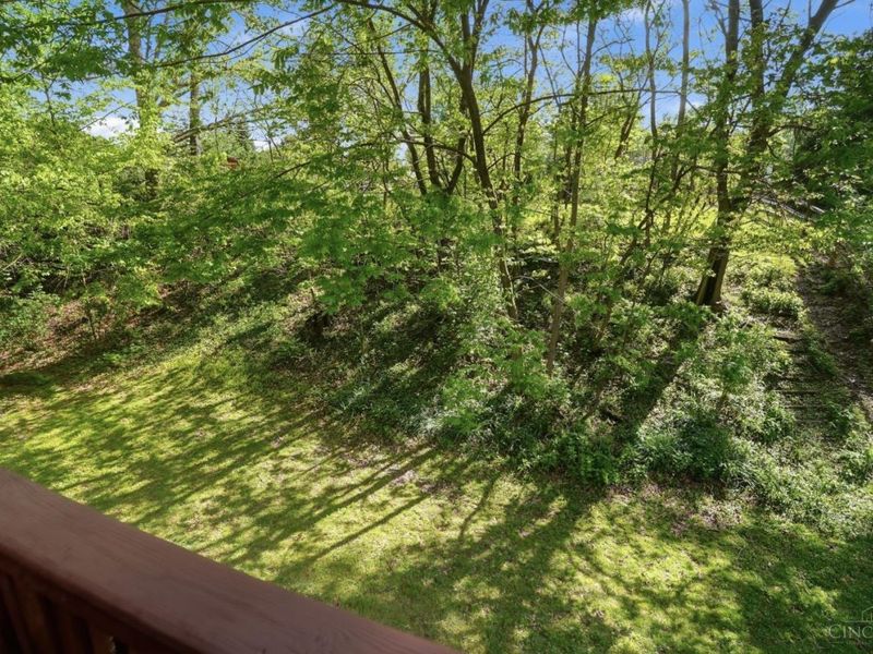 10689 Deershadow Lane, Montgomery, OH 45242 Photo 55