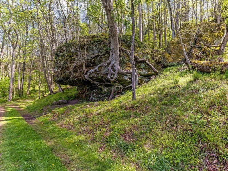 26019 Bailey Road, Rockbridge, OH 43149 Photo 77