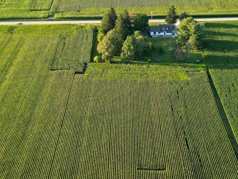 5277 Newmans Cardington Road E, Cardington, OH 43315 Photo 21