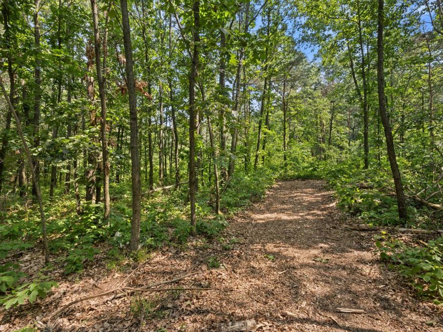 Property Image 72