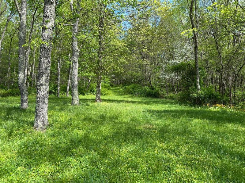 13950 W Carlisle Road, Frazeysburg, OH 43822 Photo 27