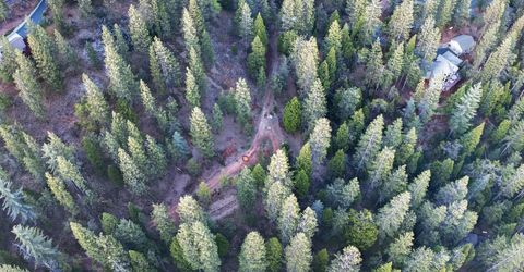 1914 War Hawk Way, Arnold, CA 95223 Photo