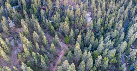 1914 War Hawk Way, Arnold, CA 95223 Photo