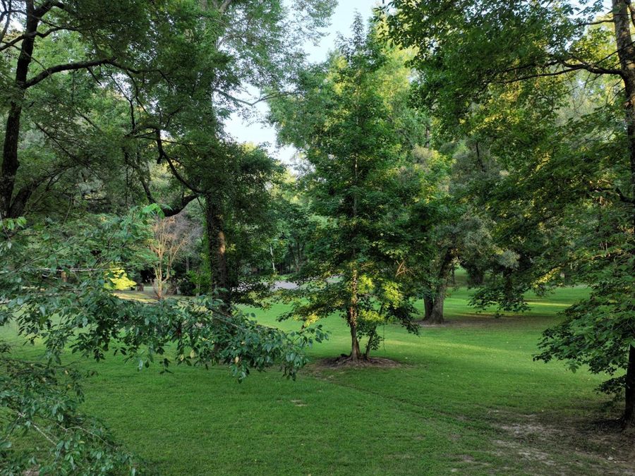 Property Image 56