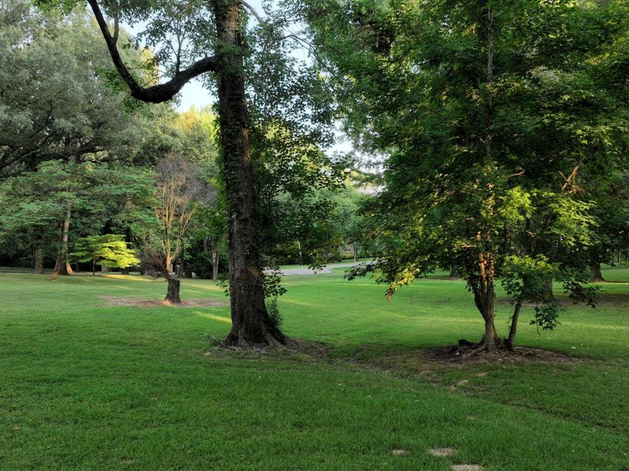 Property Image 57