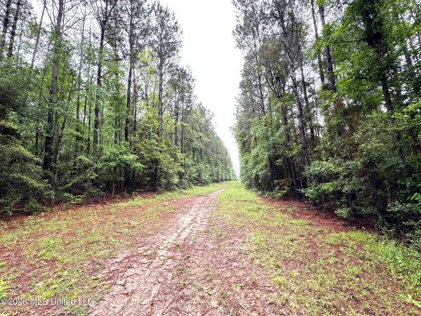 000 Emerald State Line Road, Magnolia, MS 39652