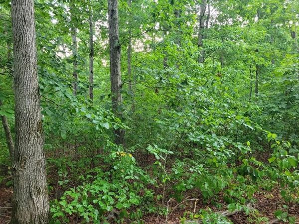 2 Haley Rd , Wartrace, TN 37183