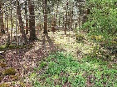Bliss Gulf Road, Milford, NY 13807