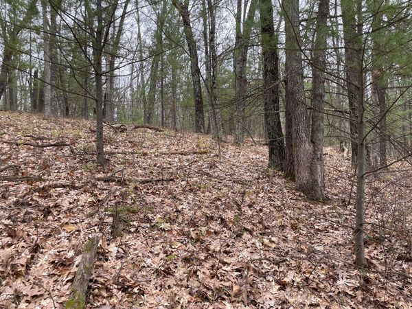 Parcel C Coates Hwy, Brethren, MI 49619