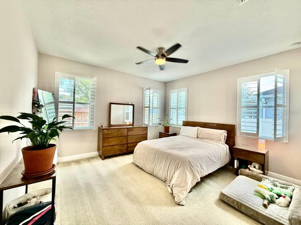 3509 N Tampa Street, Tampa, FL 33603 Photo
