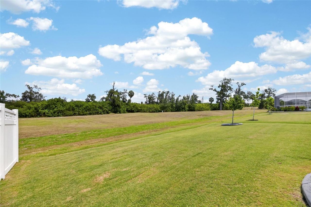 1019 Signet Drive, Apollo Beach, FL 33572 Photo