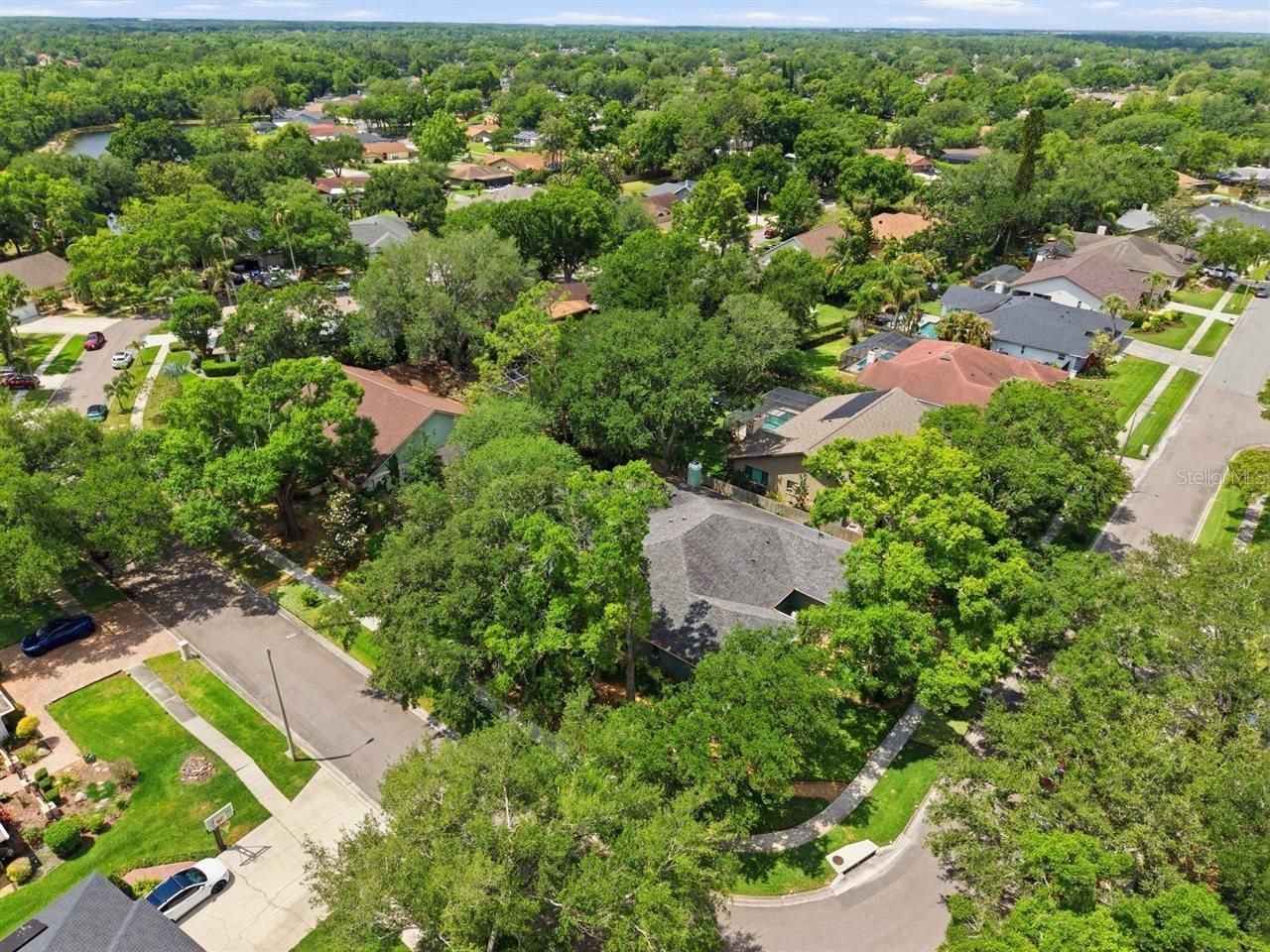 5046 Barrowe Drive, Tampa, FL 33624 Photo