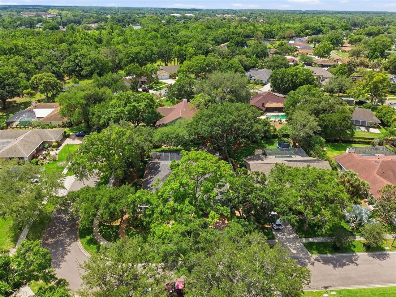 5046 Barrowe Drive, Tampa, FL 33624 Photo