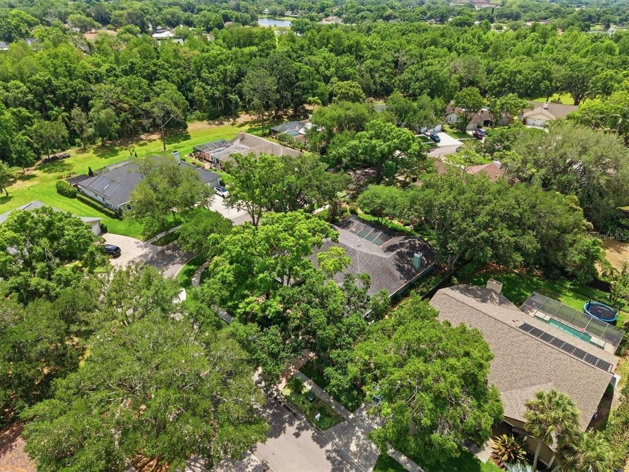 5046 Barrowe Drive, Tampa, FL 33624 Photo