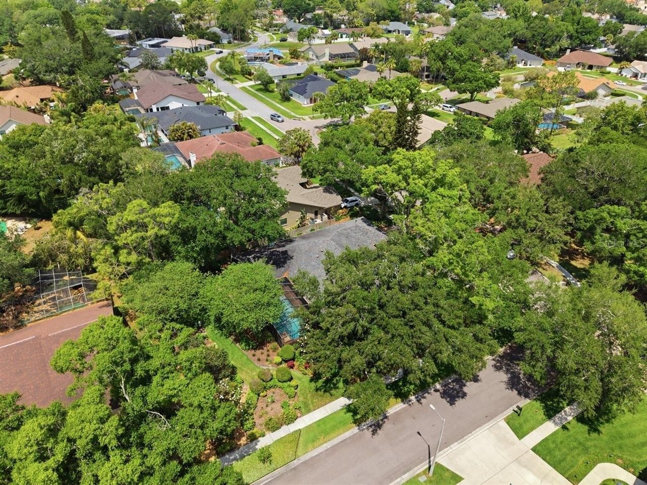 5046 Barrowe Drive, Tampa, FL 33624 Photo
