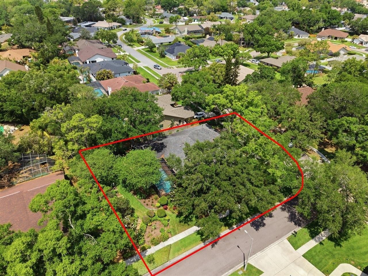 5046 Barrowe Drive, Tampa, FL 33624 Photo