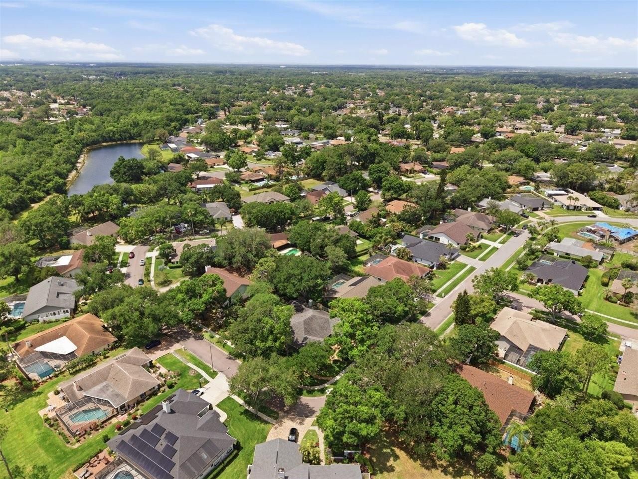 5046 Barrowe Drive, Tampa, FL 33624 Photo