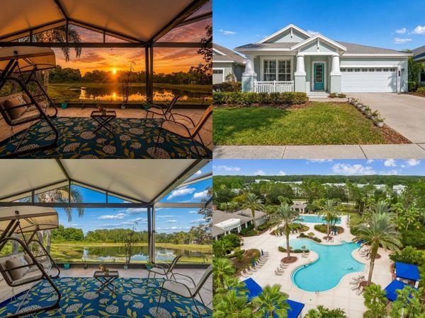 20133 HERON CROSSING DRIVE, TAMPA, FL 33647