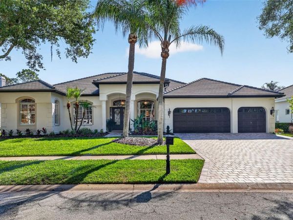 17803 OSPREY POINTE PLACE, TAMPA, FL 33647