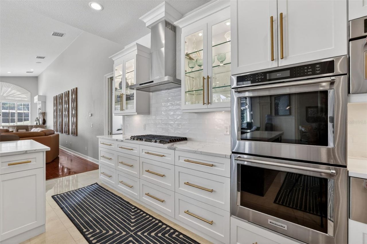 17803 Osprey Pointe Place, Tampa, FL 33647 Photo