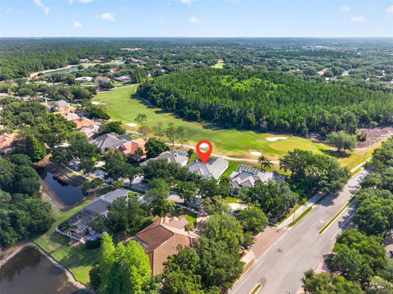 17803 Osprey Pointe Place, Tampa, FL 33647 Photo