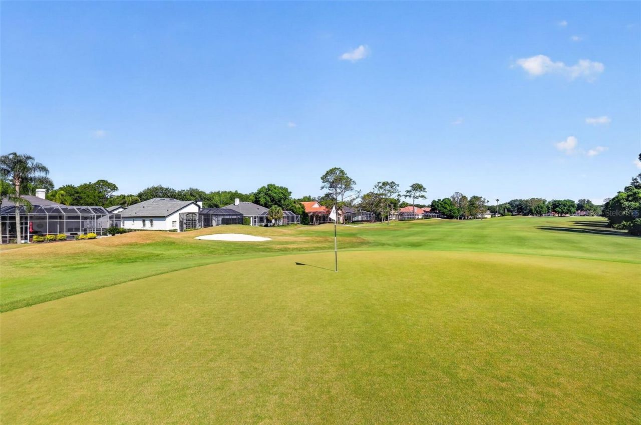 17803 Osprey Pointe Place, Tampa, FL 33647 Photo