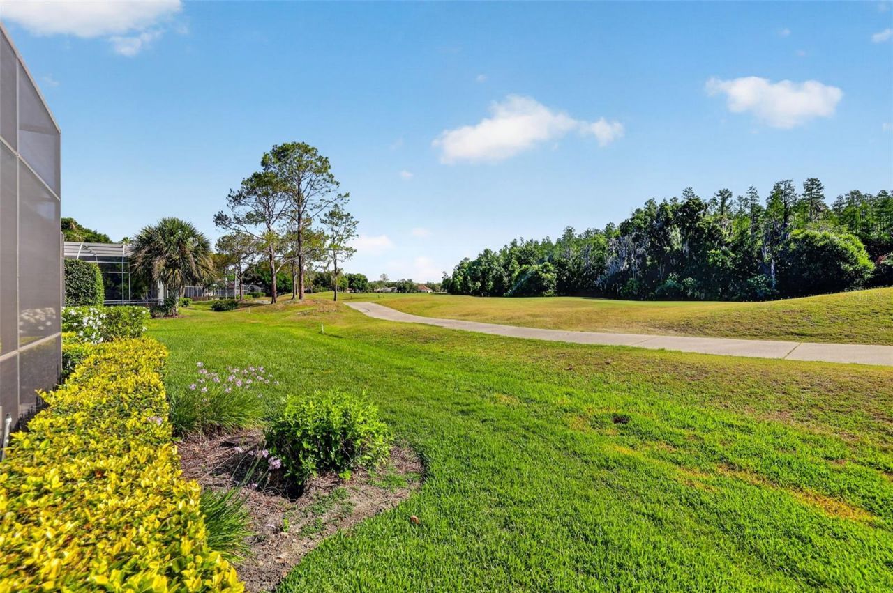 17803 Osprey Pointe Place, Tampa, FL 33647 Photo