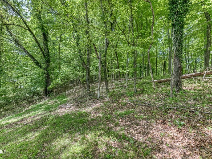 Property Image 50