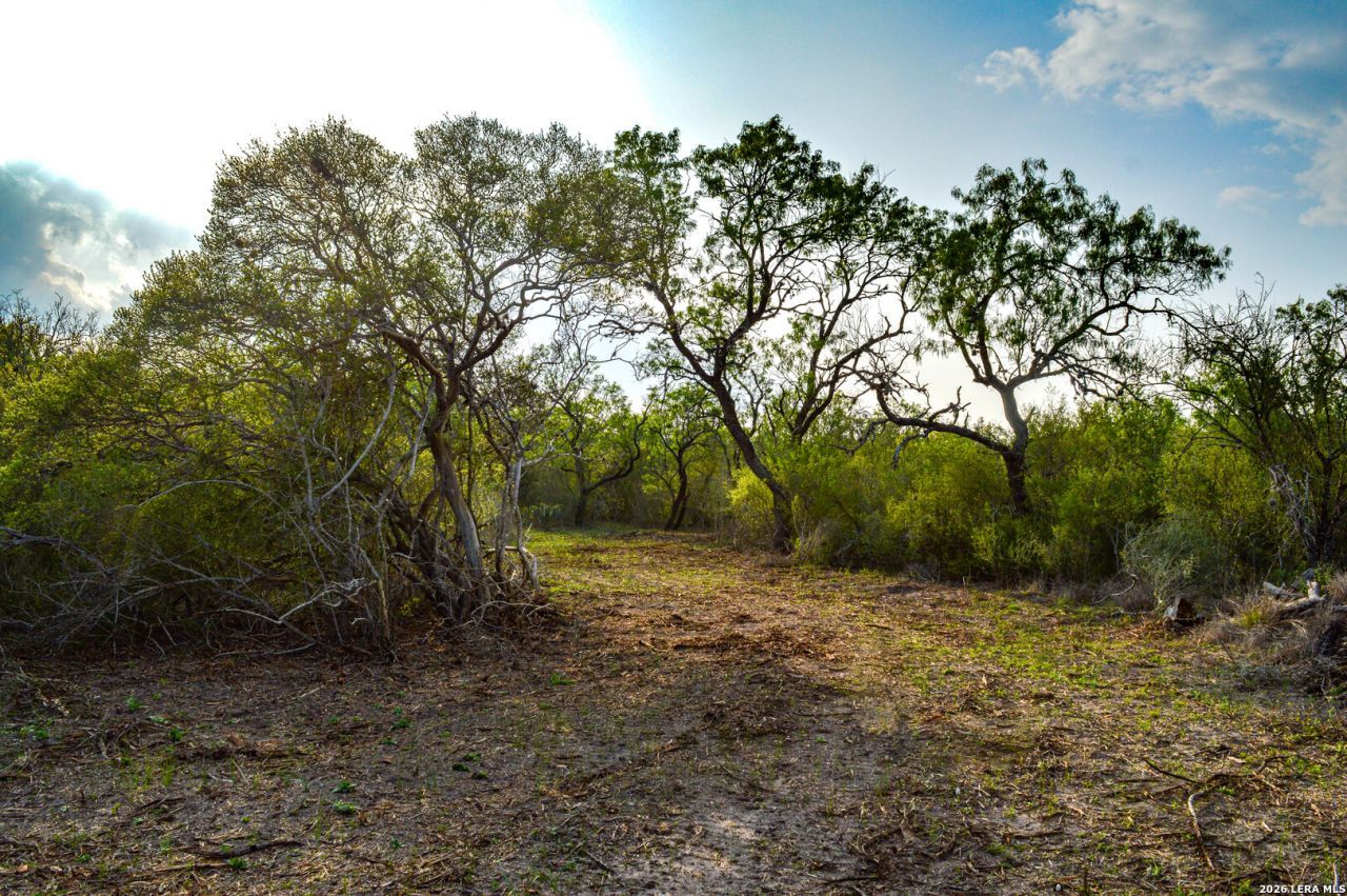 0 Cr 207, Tuleta, TX 78146 Main Photo
